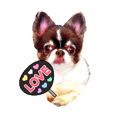 AKIKO_20250303141940