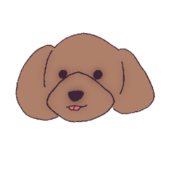 toy poodle sticker -Japanese ver.-