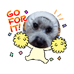 GO哈嚕