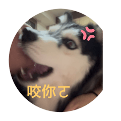 莊哈哈1.0