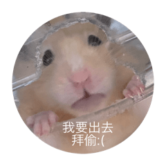 陳小薯的皮皮日常