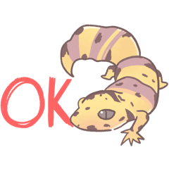 Ray_20250302193951