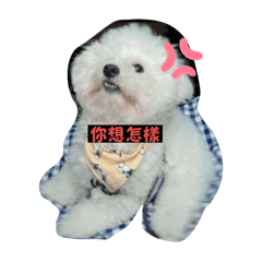 林崽崽