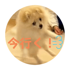Yuki_20250303145224