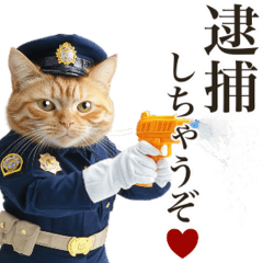 Cat police officer.