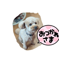 Hana_20250303171003