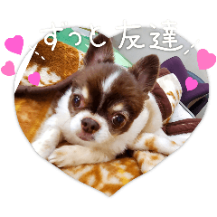 AKIKO_20250303