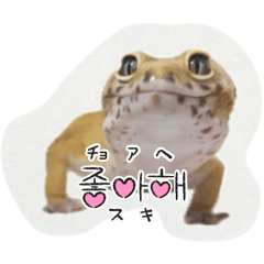 oreosan0706