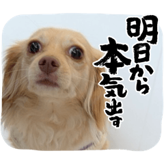 Yoko_20250303202057