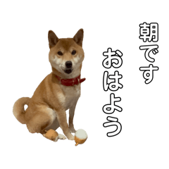 mizumo_20250303201916