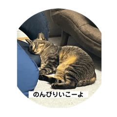 mochi_20250303220932
