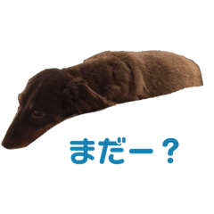 Kuu_20250303174640