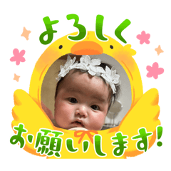 hima_20250303212941