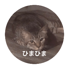 kigendan_20250303213001