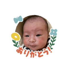 migi_20250303155941