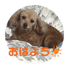 yukari_20250303162455