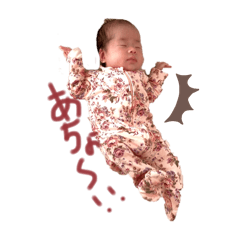 sakurako_20250304094041
