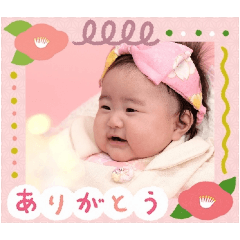 takazawa_20250304094208