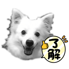 RJ_20250303224235