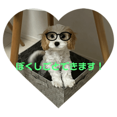 abc_20250303224752