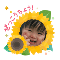MI_20250304102314
