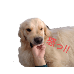 Riku_20250304100439