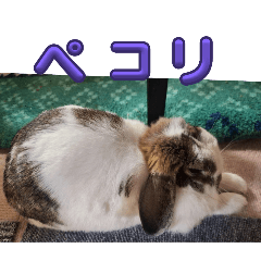 Mayumi_20250304103530