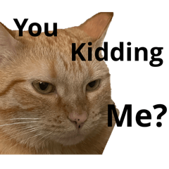 R_20250302211009