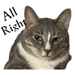 R_20250302211119