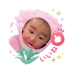 Lily_20250304114314