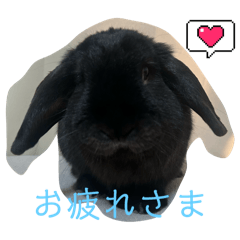 kiki_20250304115644