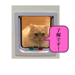 MAYUMI_20250303213943