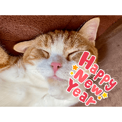 manamaru_20250303180625