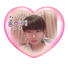 cosho_20250303230018