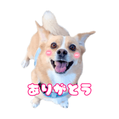 yui_20250303195434
