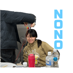 nn_20250303230244