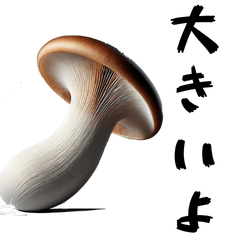 Chatter Mushroom