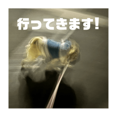 kosuke_20250303174750