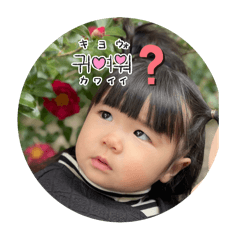 HIKARI_20250304064430