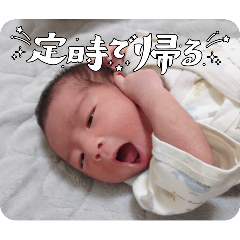 shiro_20250304133544