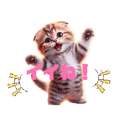 YUKKO_20250304101449