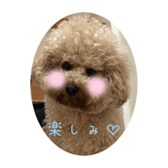 yoko_20250304074141