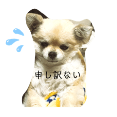 kiki_20250304110825