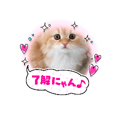 kaori_20250304110824