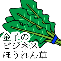 kaneko no bijinesu hourensou