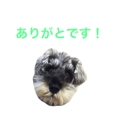 ice&milky 3