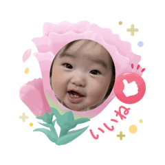 maa_20250304120912