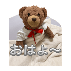 wai_20250303185605