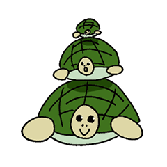 variation turtle