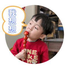 阿宸2.0